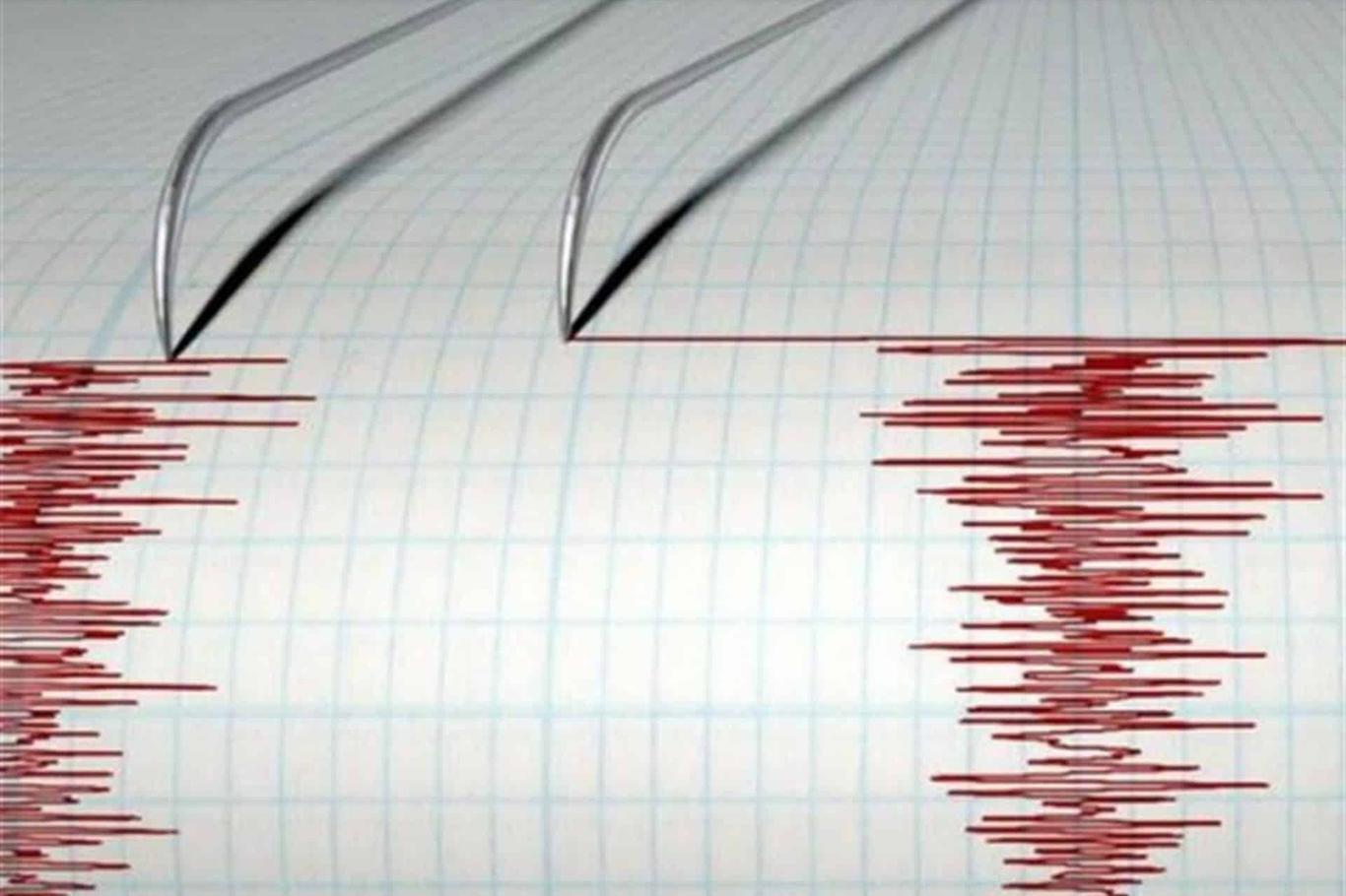 A 4.8 magnitude earthquake hits western Turkey  